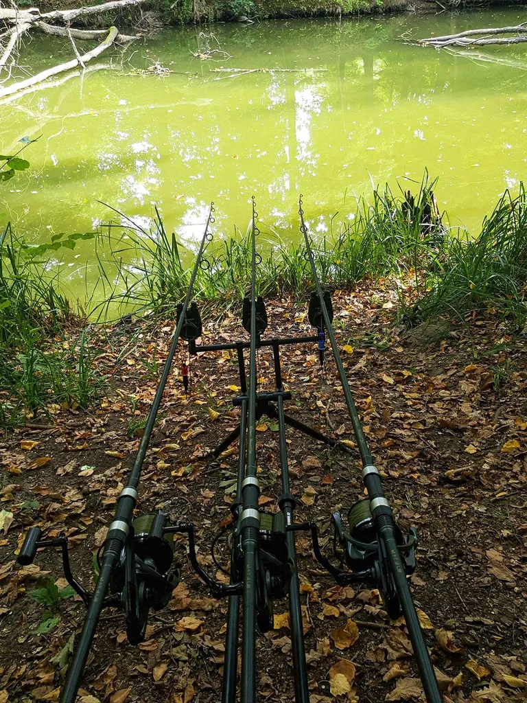 Rod Pod Carpe Stable et Léger : la Solution pour vos Berges Difficiles - 3