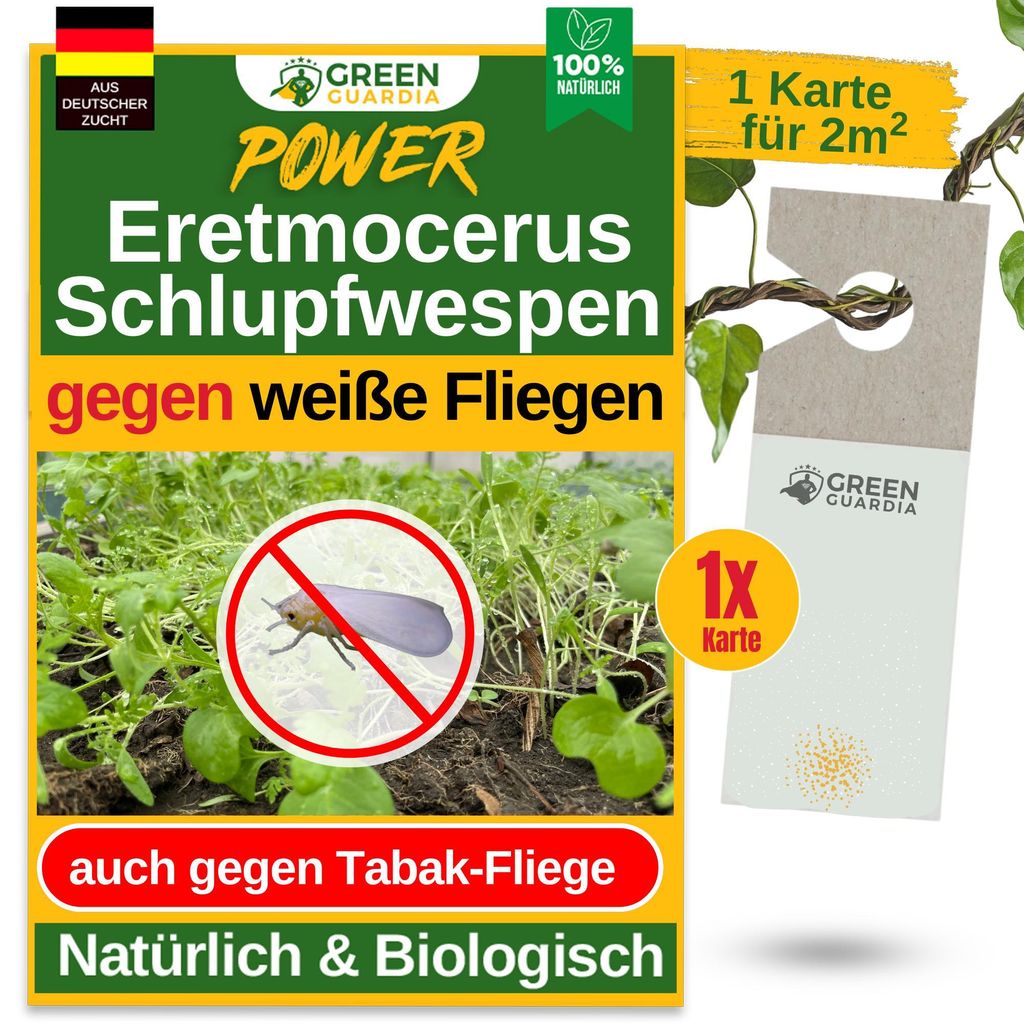 Eretmocerus Schlupfwespen gegen weiße Fliegen & Tabakfliegen - 1 Karte für 5m² - Weiße Fliegen bekämpfen, Tabakfliegen bekämpfen, natürlich ...