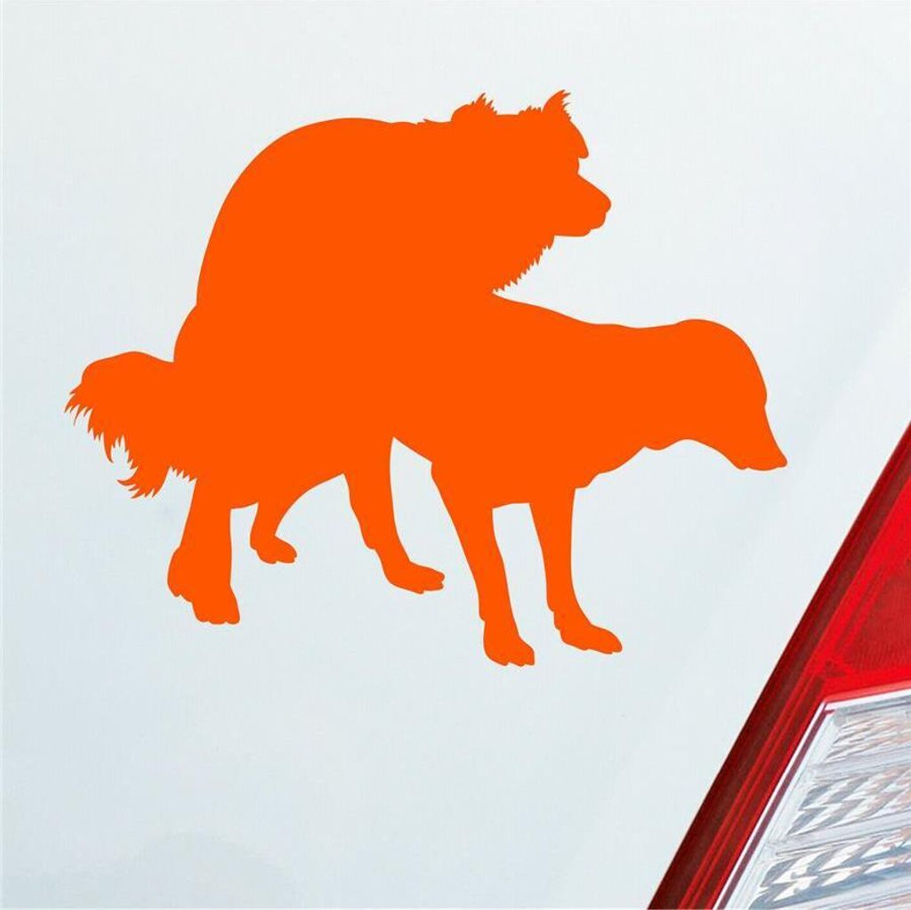 Auto Aufkleber Hunde decken Spaß Liebe Paaren Dog 12,5x10 cm Orange Sticker Heckscheibenaufkleber