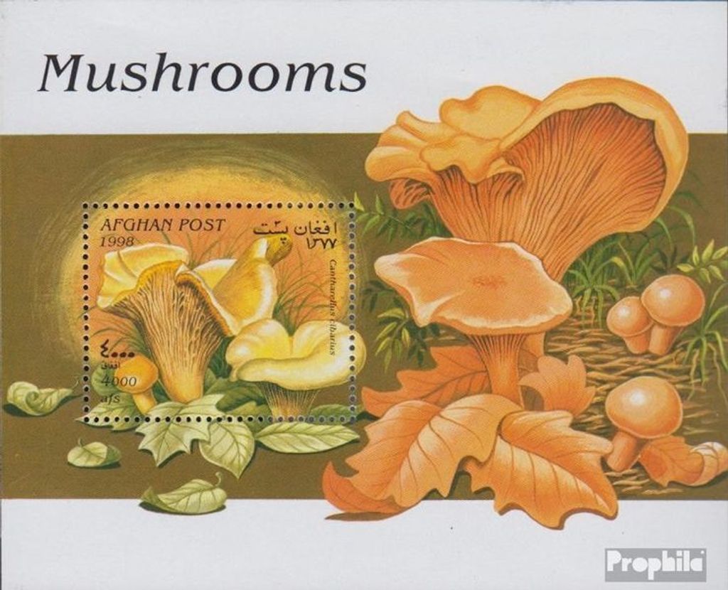 Briefmarken Afghanistan 1998 Mi Block99 (kompl.Ausg.) gestempelt Pilze