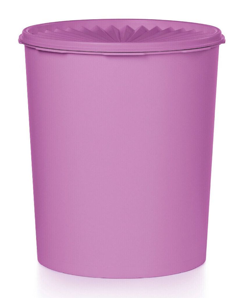 0,55-Liter-Behälter Mehrfarbig/lila – Auslaufsicher & BPA-frei
