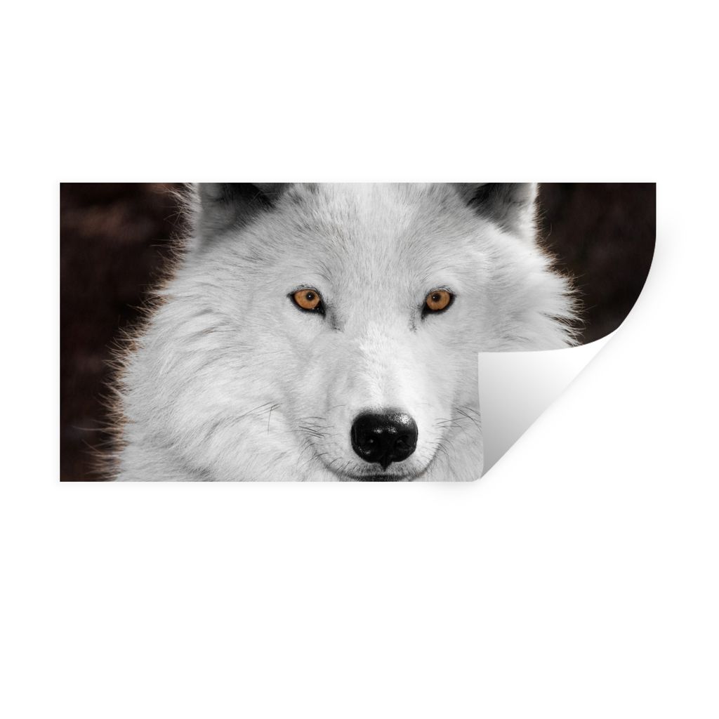 MuchoWow Wandtattoo Wandsticker Wandaufkleber Wolf - Weiß - Porträt 80x40 cm Selbstklebend und Repositionierbar - Aufkleber