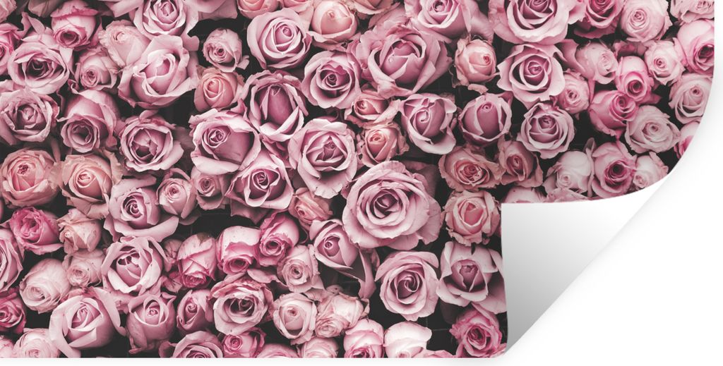 MuchoWow Wandtattoo Wandsticker Wandaufkleber Blumen - Rosen - Natur - Rosa - Botanisch 80x40 cm Selbstklebend und Repositionierbar - Aufkleber