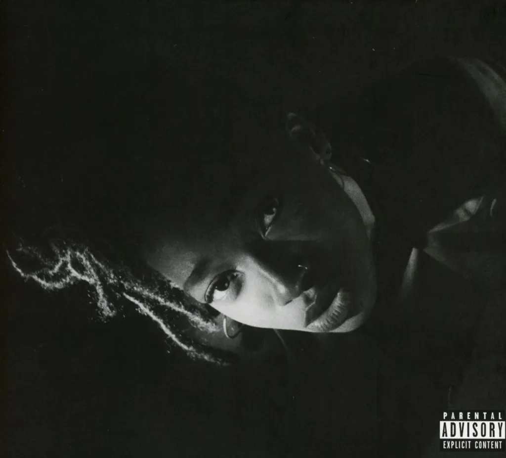 Little Simz Grey Area CD - Évitez le streaming et possédez votre album