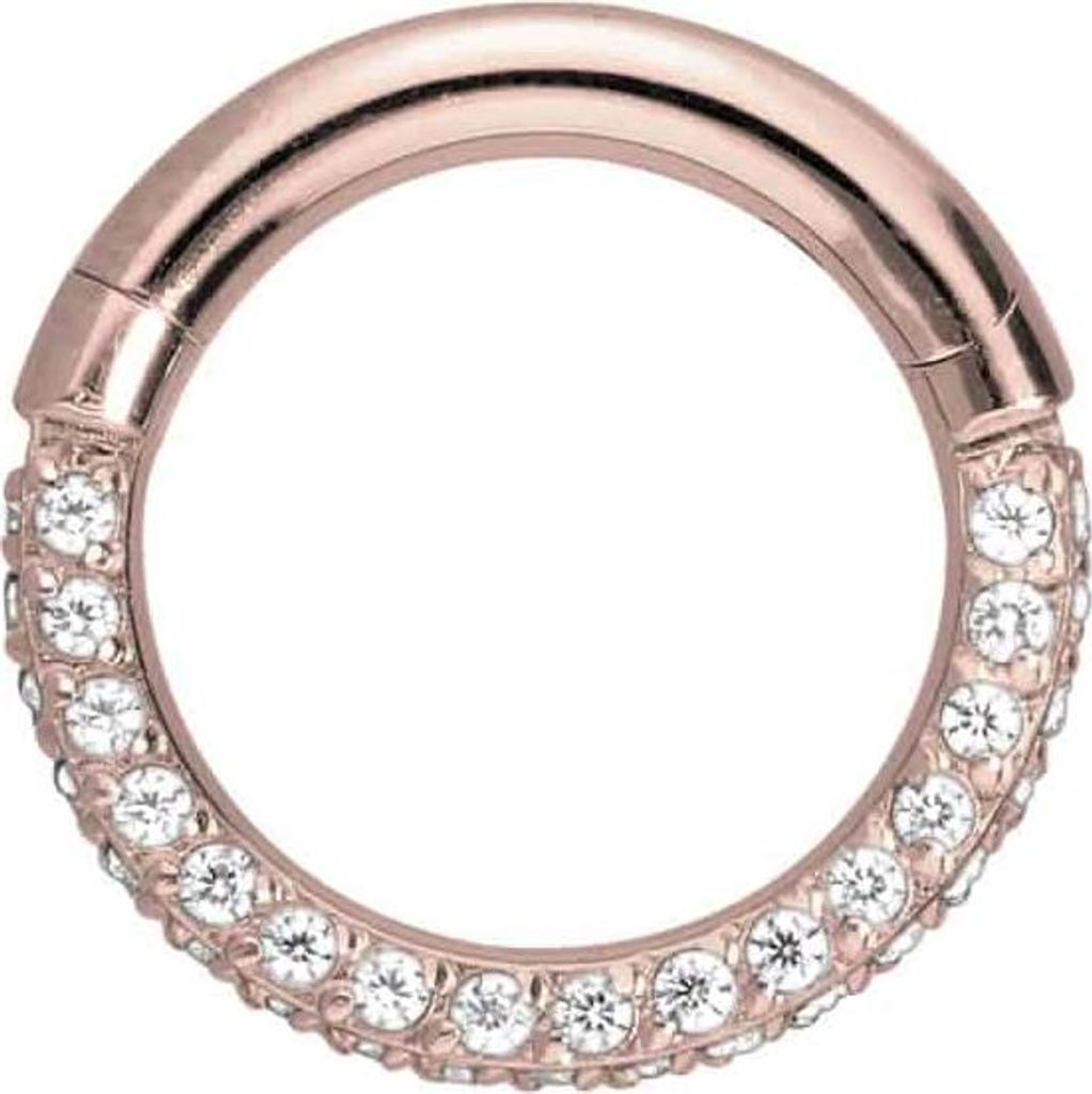 Ohrpiercing, Nasenpiercing, Septum Piercing Titan Segmentring Clicker KRISTALLRAND RoséGold Innendurchmesser: 6 mm