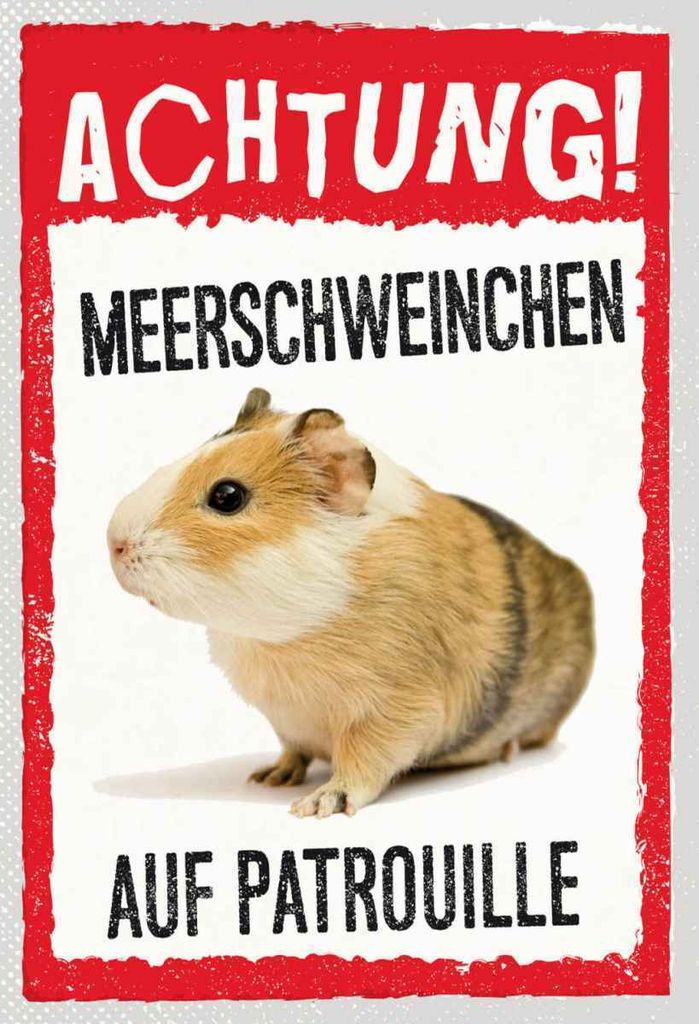 vianmo Holzschild 30x20 cm Achtung Meerschweinchen Produktbild 