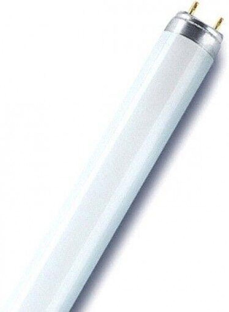 OSR L-lamp, L 36W-76, T8, 26mm, G13, Natura Productafbeelding 