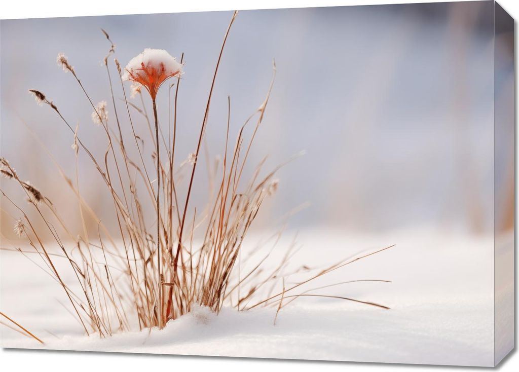 Bild 70x50cm Winter im Detail