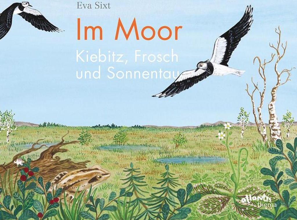 Im Moor - Kiebitz, Frosch und Sonnentau