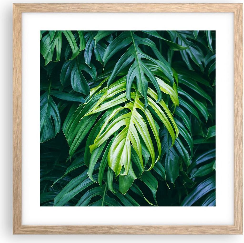 Gerahmtes Poster - Rahmen in heller Eiche - Blume Natur - 40x40 cm - Wand Bild - Wanddeko - Wandbilder - Kunstposter - Wandposter - Bilderrahmen - ...