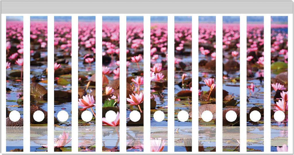 Wallario Ordnerrücken Sticker, selbstklebend für schmale Ordner, 12 Stück, Motiv Seerosenlandschaft mit rosa Blüten