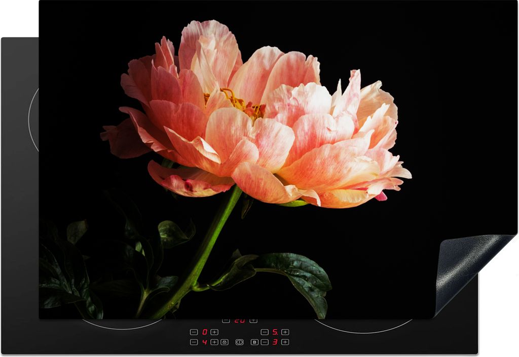 KitchenYeah Herdabdeckplatte Korallenfarbene Pfingstrose , 76x51cm, Küche Deko, Glaskeramikfeld Herdabdeckung, Abdeckplatte fùr Kochfeld