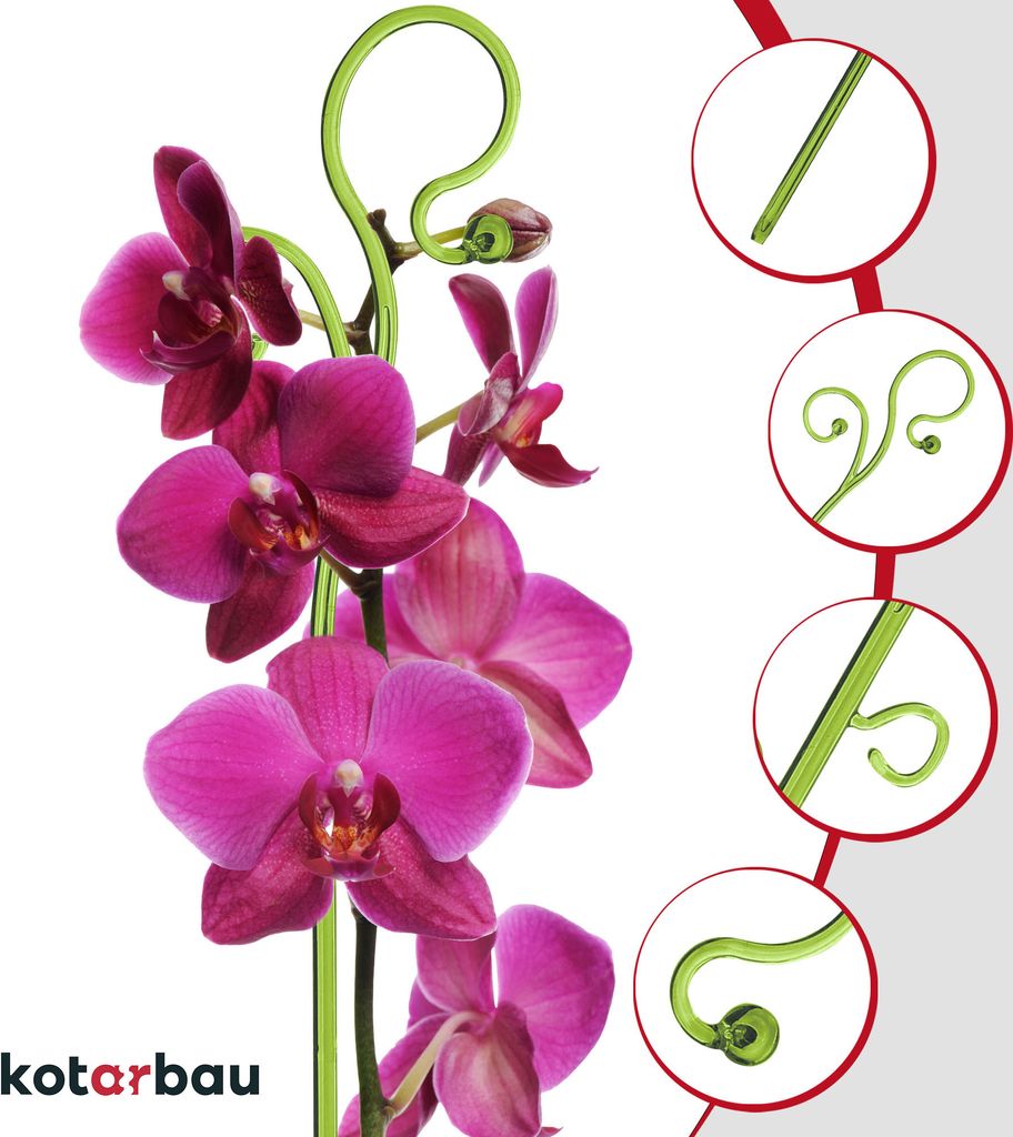 KOTARBAU® Sada 6 podpěr pro rostliny zelená PVC 58 cm Obrázek produktu 6