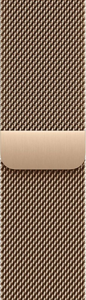 Apple MGJ04ZM/A Intelligentes tragbares Accessoire Band Gold Edelstahl