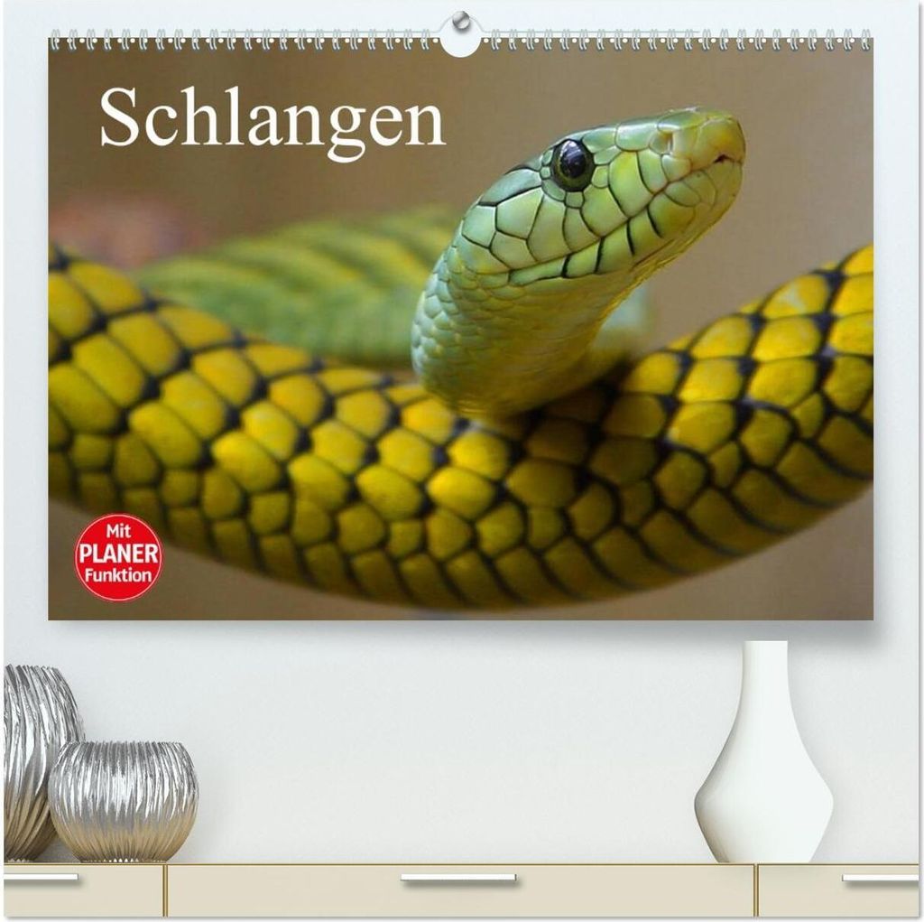 Schlangen (hochwertiger Premium Wandkalender 2026 DIN A2 quer), Kunstdruck in Hochglanz