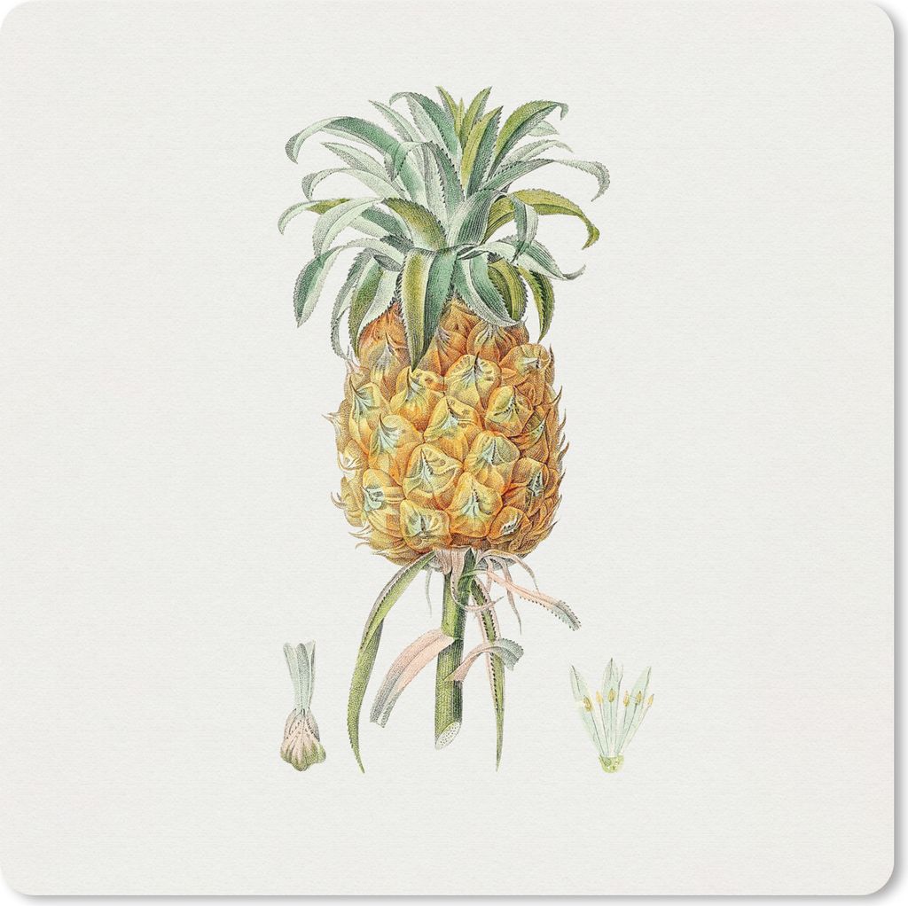 MuchoWow Mauspad Mousepad Ananas - Frucht - Pflanze 20x20 cm - Mousepads - Maus Mat - Pad - Mausunterlage - Desk Mat - Bureauartikeln