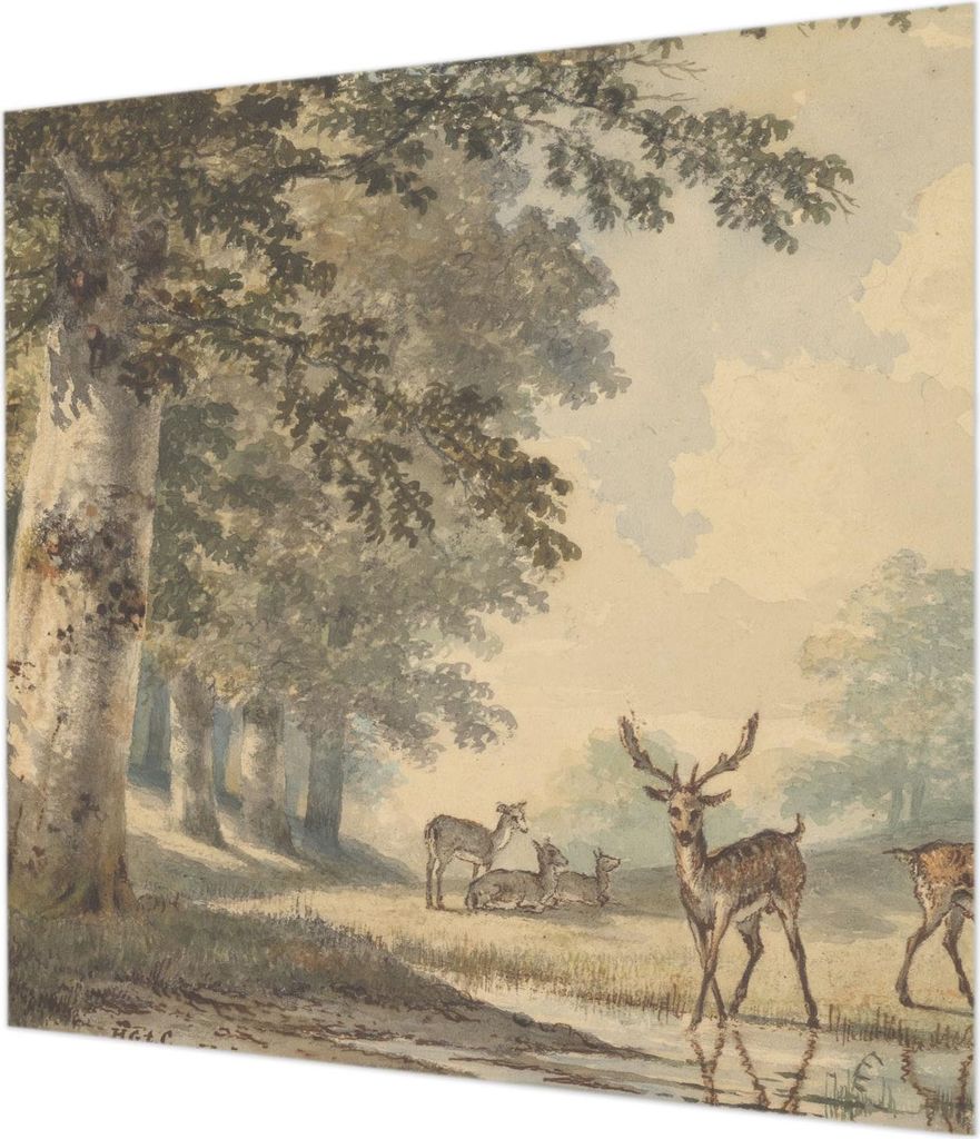 Wandtapete - Dekorative Tapete für Wohnzimmer - Tapetenfolie für Wanddekoration - 250x250 cm - Waldfrieden