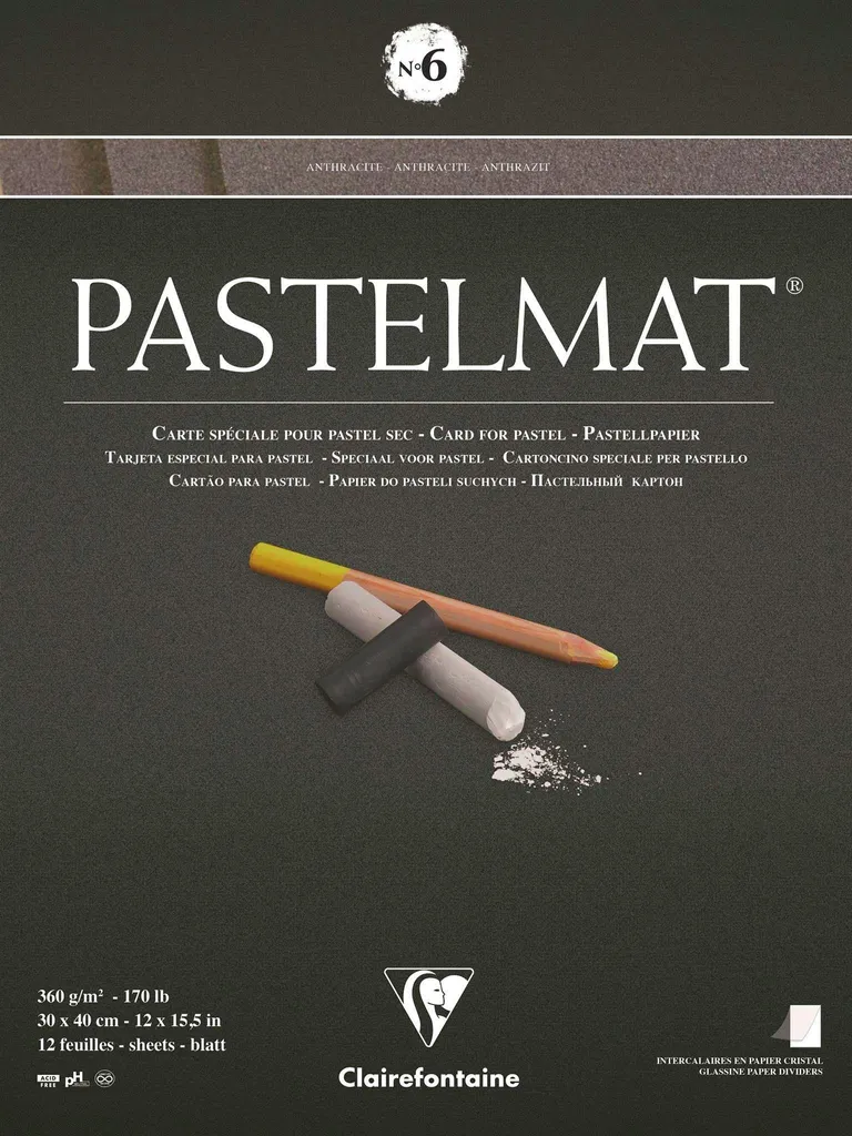 Bloc de papier Pastelmat N°6 Clairefontaine 30x40 pour pastels et craies