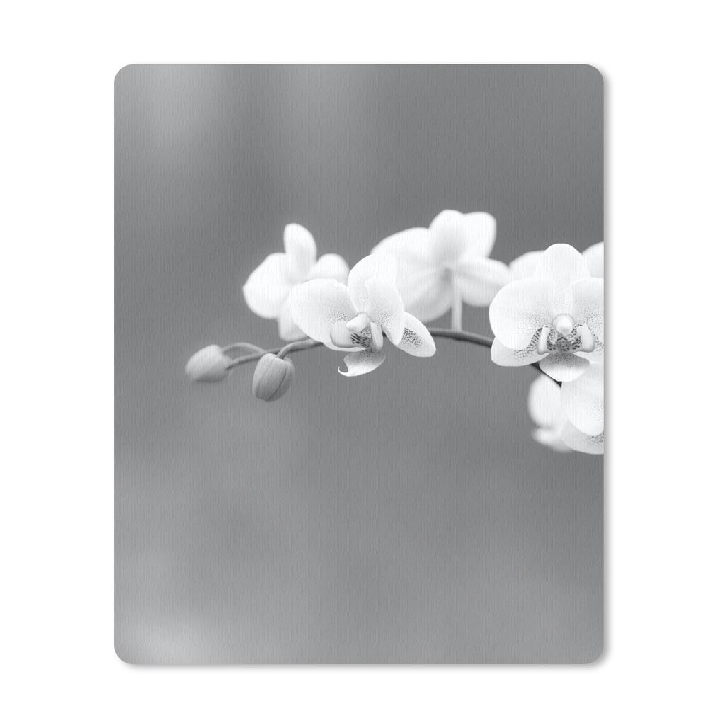 MuchoWow Mauspad Mousepad Orchidee - Blumen - Pflanze - Weiß - Lila 30x40 cm - Mousepads - Maus Mat - Pad - Mausunterlage - Mausmatten