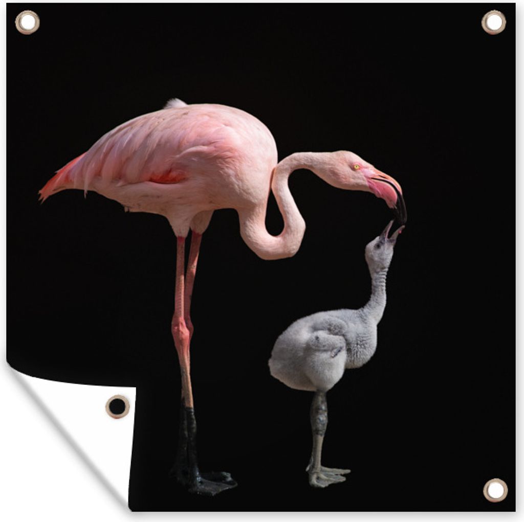 MuchoWow 100x100 cm Outdoor-Poster Gartendeko Sichtschutz Garten Poster für den Garten Flamingo-Mutter mit Kind