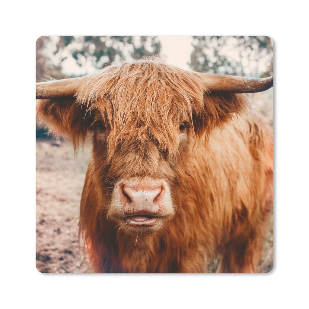 MuchoWow Mauspad Mousepad Kuh - Schottischer Hochländer - Hörner - Braun - Landschaft 30x30 cm - Mousepads - Maus Mat - Pad - Mausunterlage - G...