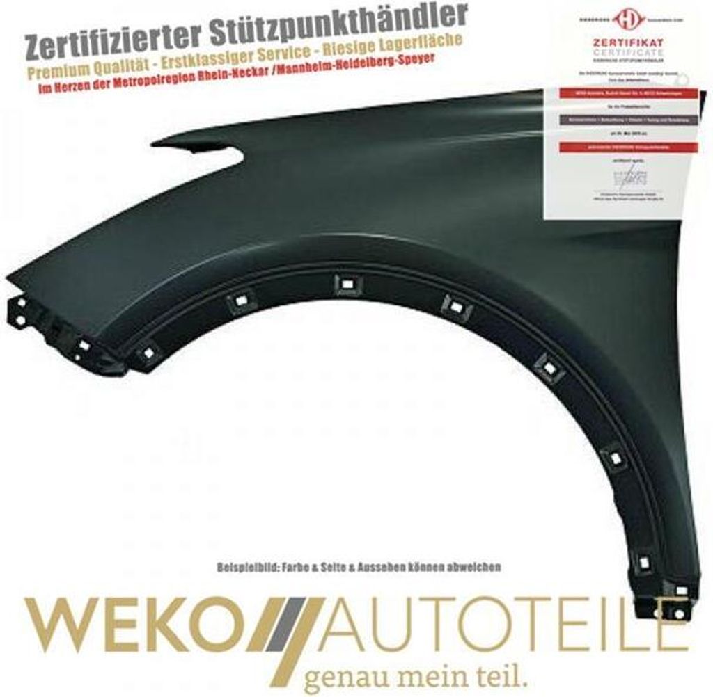 Kotflügel links DIEDERICHS 6872007 für HYUNDAI