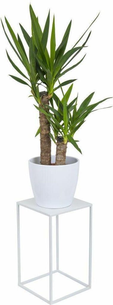 HowHomely Modern Pflanzenständer, Blumenhocker aus Metall Produktbild 1
