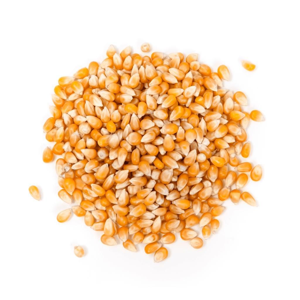 Popcornmais Körner 1 kg | Einfach zuzubereiten, vielseitig Produktbild 