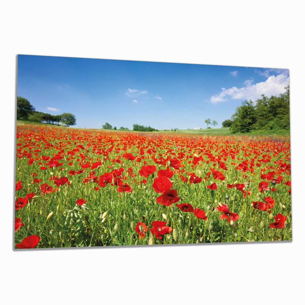 Wallario Herdabdeckplatte aus Glas, Größe 80 x 52 cm 1-teilig, Motiv Mohnblumenfeld- rote Blumen unter blauem Himmel