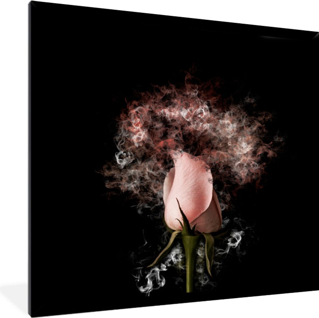 MuchoWow MuchoWow Gerahmtes Poster Rosen - Blumen - Rosa 40x40 cm - Poster mit zchwarzem Bilderrahmen - Mit Rahmen - Wanddekoration Schlafzimmer