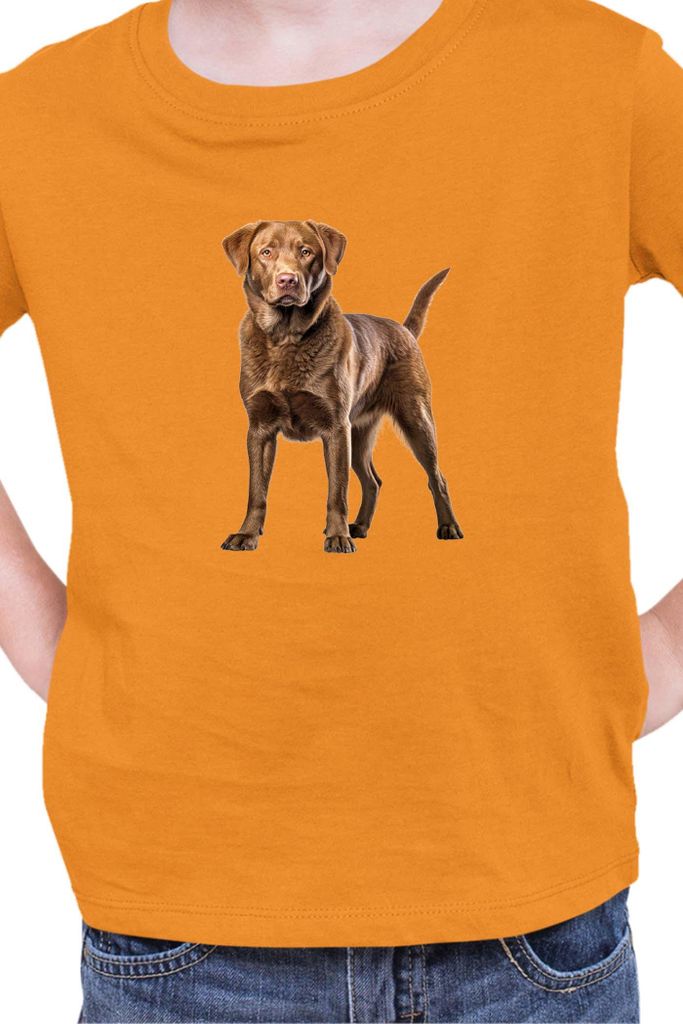 Kinder T-Shirt Dogs Breeds Chesapeake Bay Retriever Dog Breed 006, 9-11 Jahr - 140 / Orange