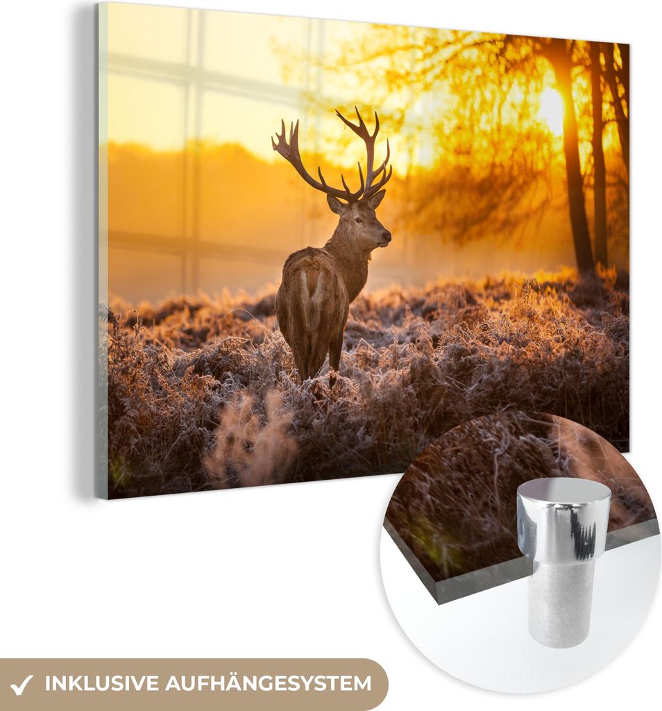 MuchoWow Glasbilder - Bilder auf Wandbild - Foto auf Glas Hirsche - Tiere - Sonnenuntergang - Winter - Heidekraut - Natur 90x60 cm Wanddekoration a...