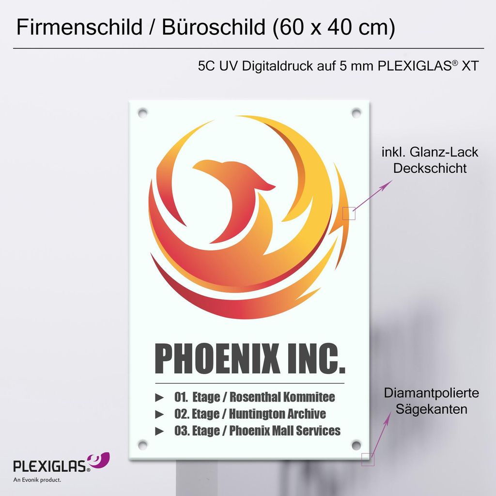 Firmenschild (600 x 400 mm) PLEXIGLAS® 5 mm / weiss Produktbild 