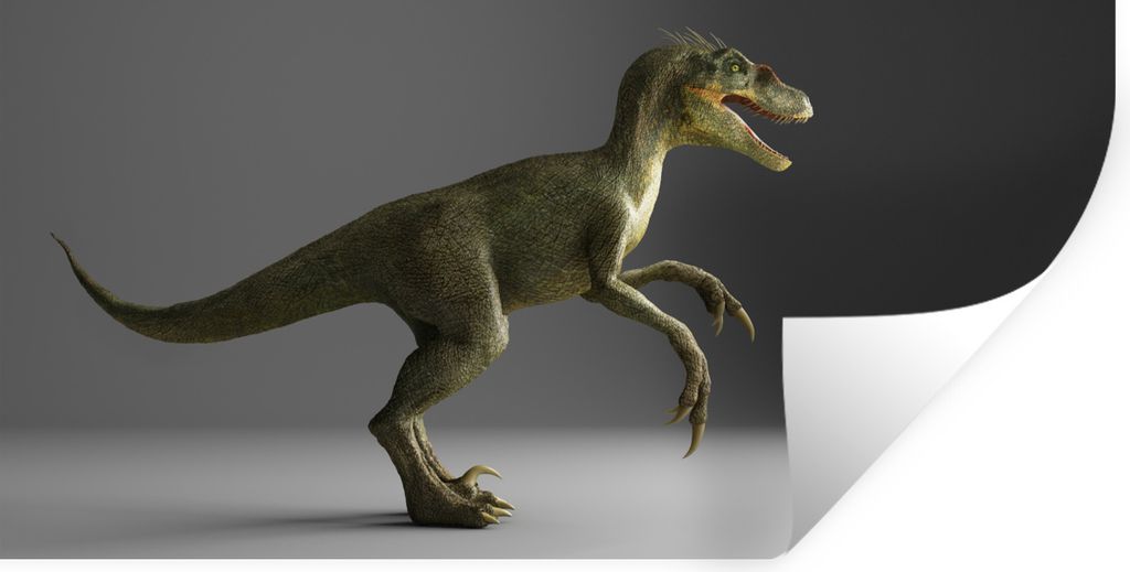 MuchoWow Wandtattoo Wandsticker Wandaufkleber Velociraptor - Dinosaurier - Grau 120x60 cm Selbstklebend und Repositionierbar - Sticker - Dekorfolie