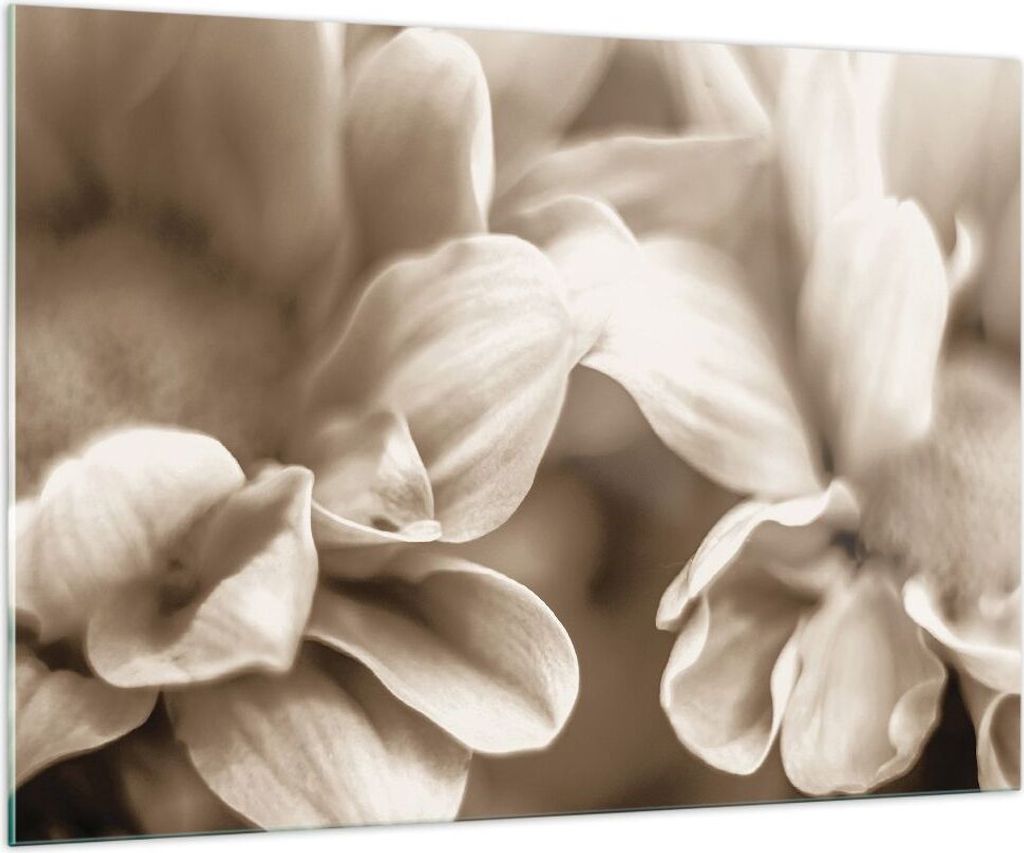Bilder auf glas - Einteilig - Blumen Boho ohne - 100x70cm - Glasbilder - Wandbilder - Bilder - zum Aufhängen bereit - Wanddekoration aus Glas - Gl...
