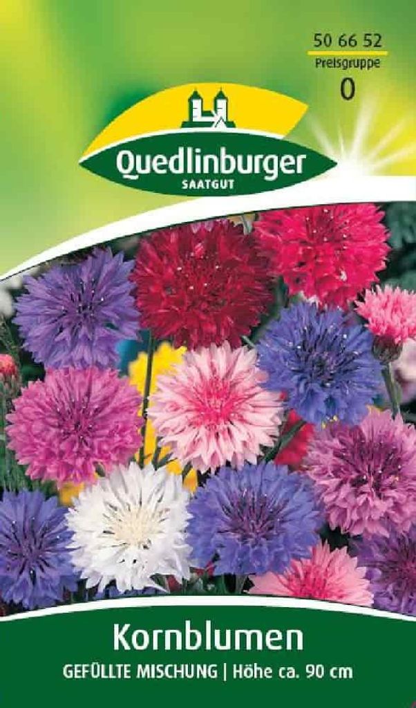 Kornblume, Gefüllte Mischung Produktbild 