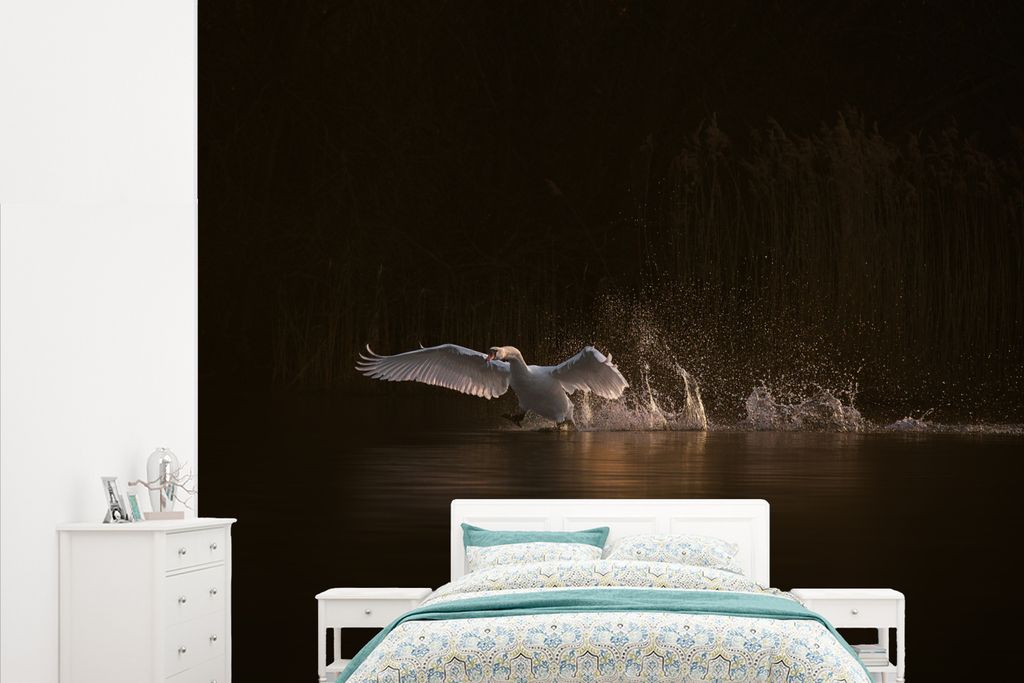 MuchoWow Fototapete für Wohnzimmer oder Schlafzimmer Wandtapete Vinyl Motivtapete Schwan - Wasser - Nacht - 265x220 cm - Die Küche