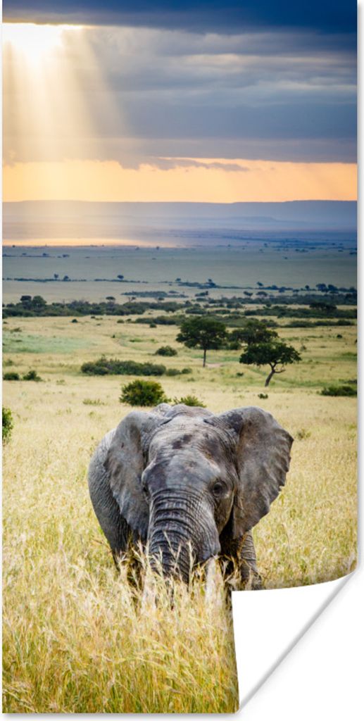 MuchoWow Poster Sonnenstrahlen über einem Elefanten in der Savanne 20x40 cm - Plakat - Foto