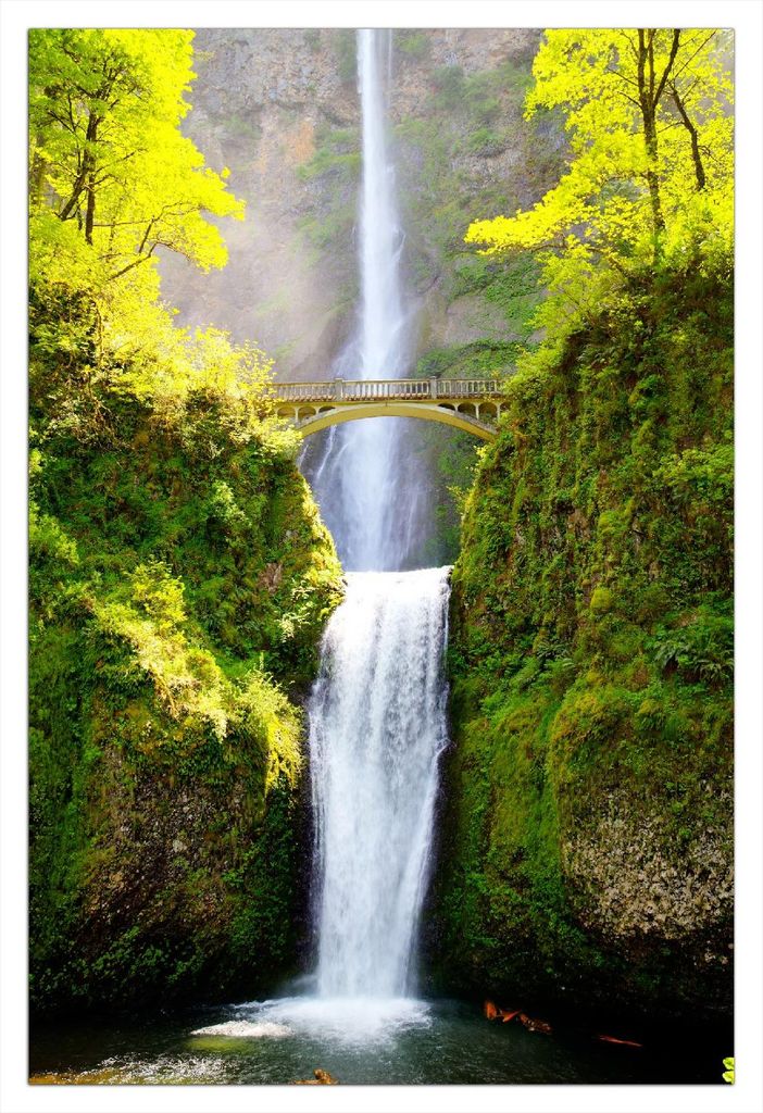 Wallario Poster - Brücke über dem Wasserfall, Kunstdruck Größe: 61 x 91,50 cm