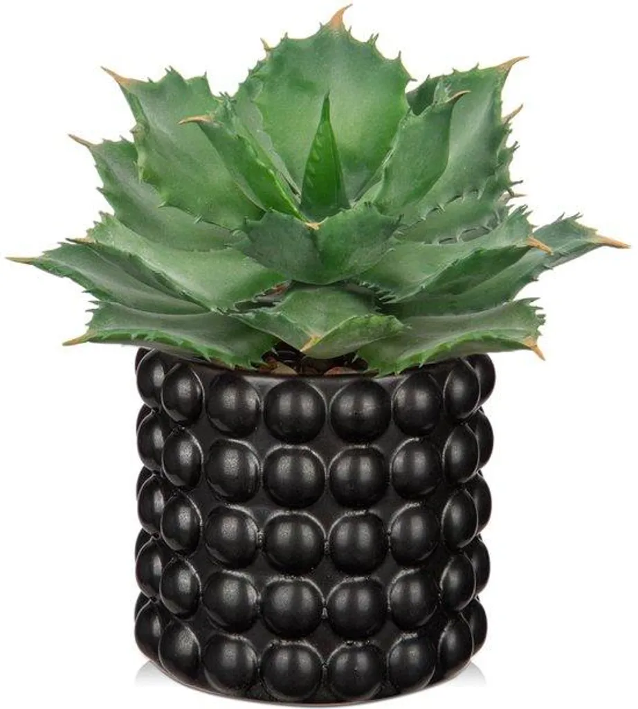 Objet déco : plante en pot en céramique noire 18 cm style contemporain
