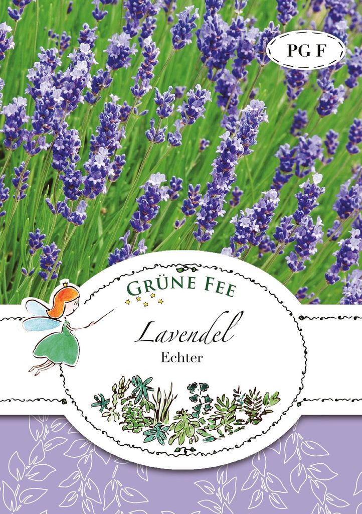 Lavendel Echter | Lavendelsamen von Grüne Fee [MHD 01/2025] Produktbild 