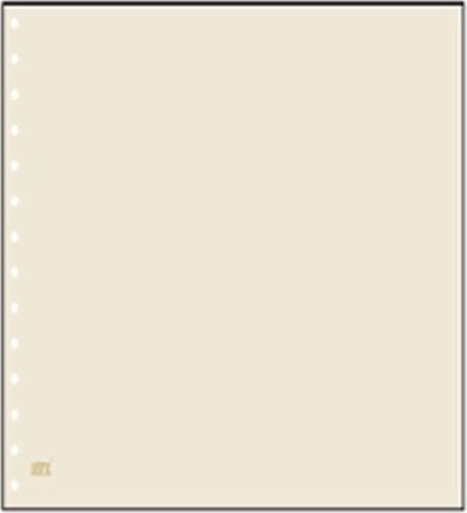 SAFE 782 PA Blankoblatt chamois per 10