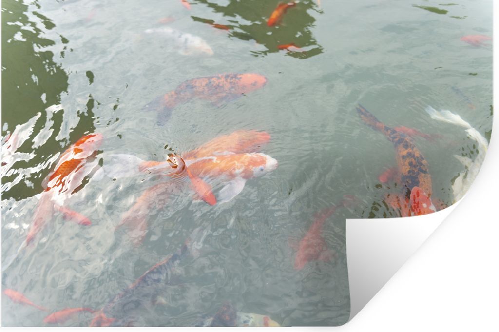 MuchoWow - Selbstklebend - Fototapeten