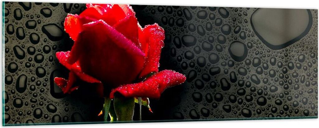 Bilder auf glas - Blume rote rose wasser tau - 90x30cm - Glasbilder - Wandbilder - Kunstdruck - zum Aufhängen bereit - Wanddekoration aus Glas - G...