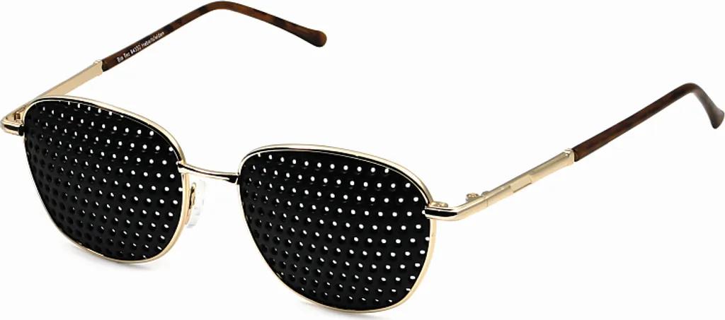Lunettes à grille complète 420-EGG finition dorée et monture métal