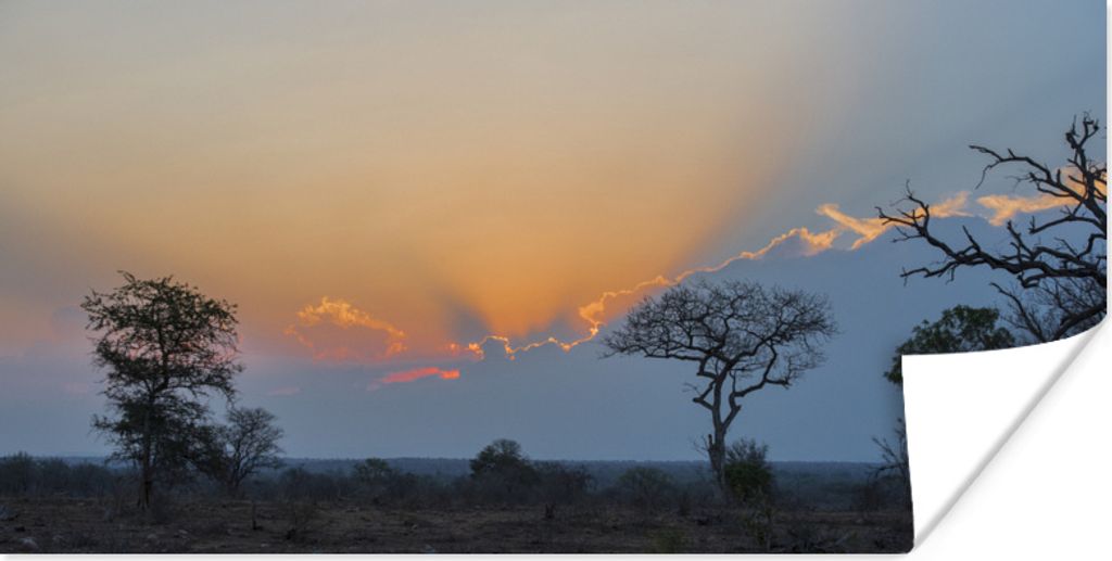 MuchoWow Poster Die Landschaft des Kruger Parks in Südafrika bei Sonnenuntergang 150x75 cm - ohne Rahmen