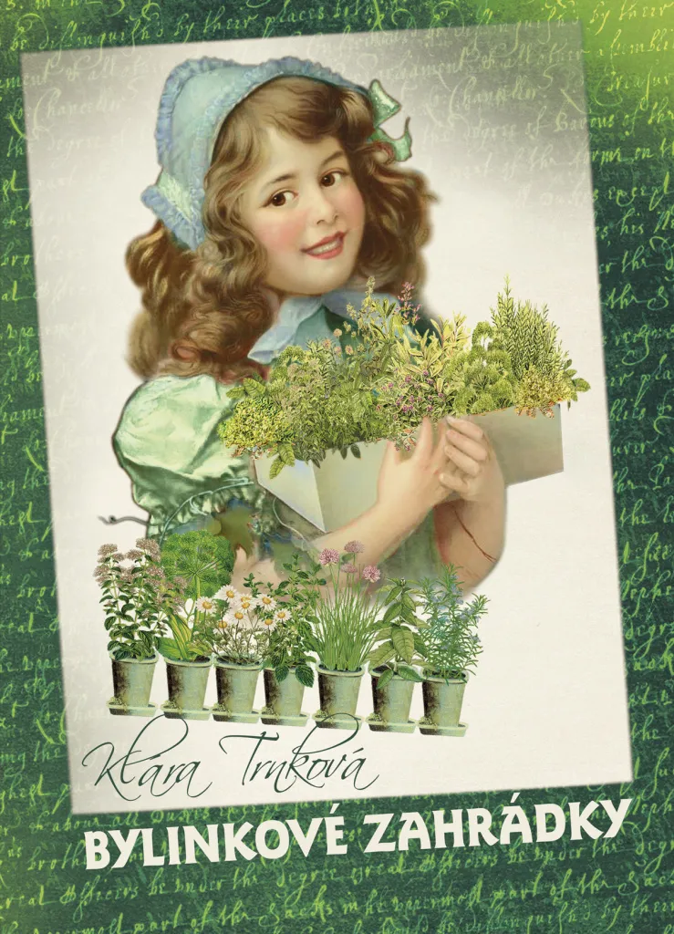 Guide illustré herbes médicinales par Klára Trnková, 96 pages