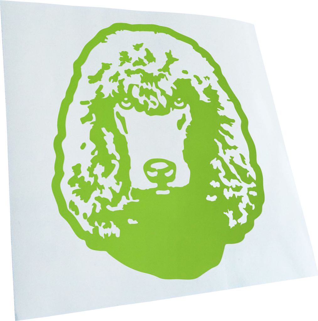 Kiwistar - Autoaufkleber - irish water spaniel Hund - Lindgrün - 60x50cm - Aufkleber für Auto, Laptop, Fahrrad, LKW, Motorrad mehrfarbig JDM Deca...