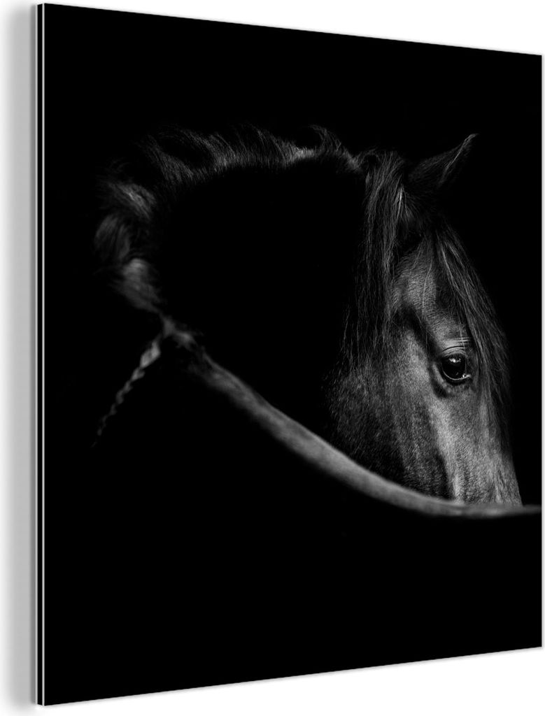 MuchoWow Wanddekoration Metall Metallbild Wandkunst 90x90 cm Pferde - Porträt - Schwarz - Tiere MuchoWow Aluminium Gemälde - Dekoration - Industr...