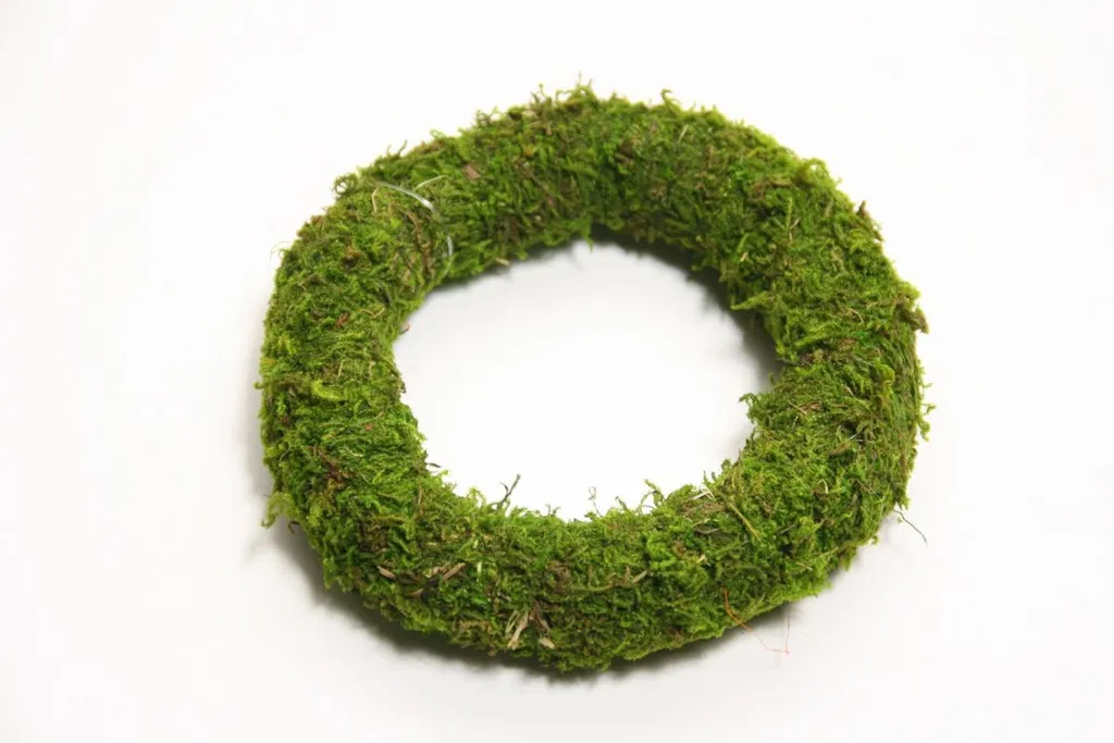 Couronne naturelle Asia Moos ø40cm HBx : décoration murale sans entretien
